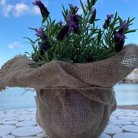 Erginas Boat House 아파트