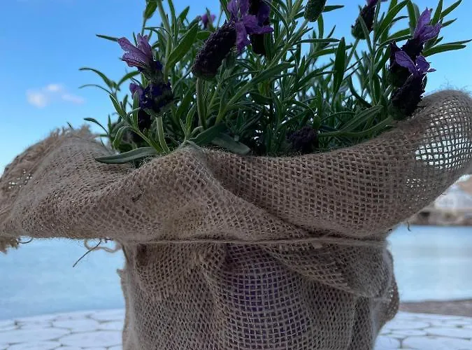 Erginas Boat House Apartament